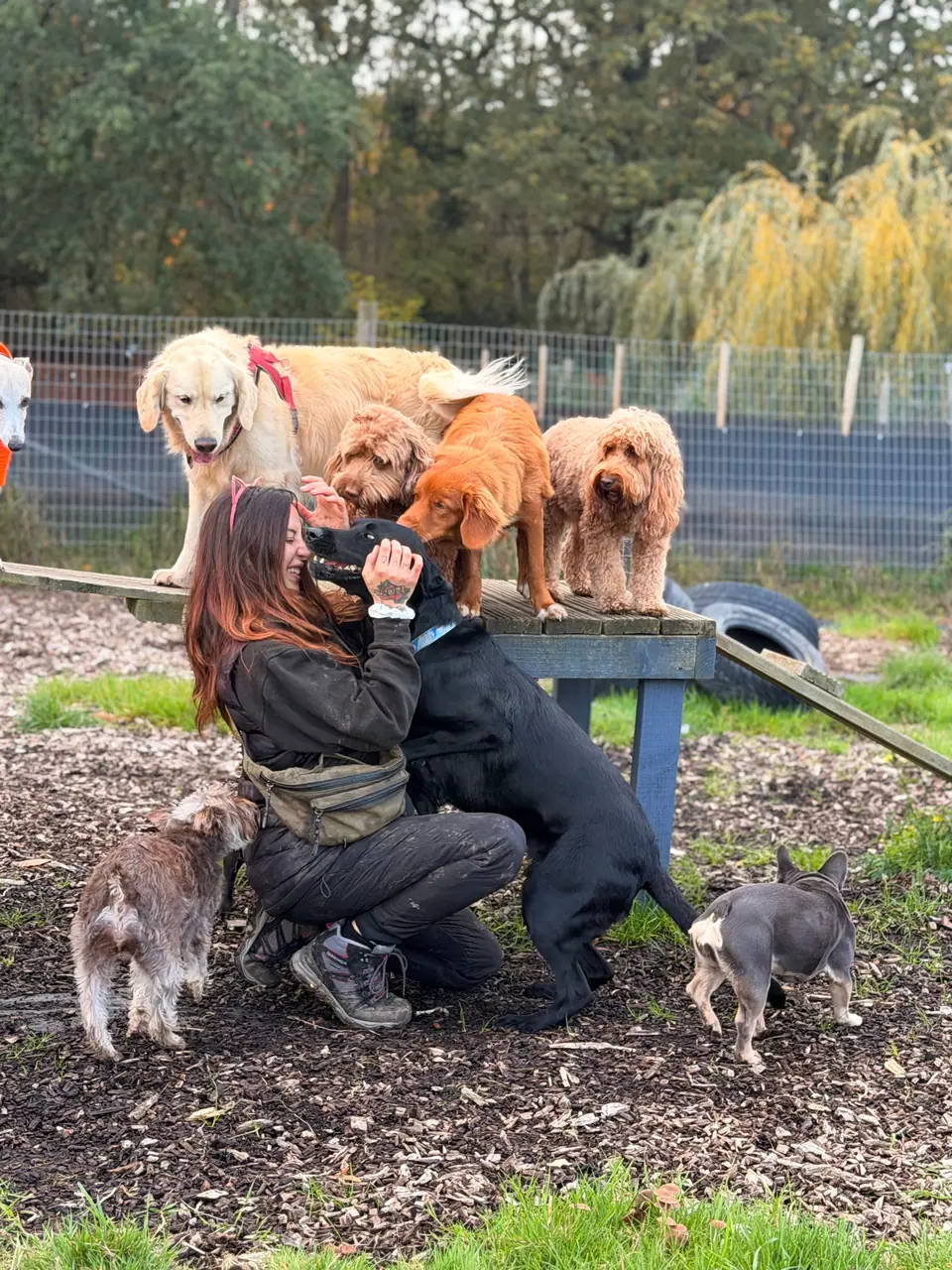 Erika crouching among dogs at the park while a black dog jumps up to her